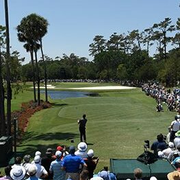 Call-Out_sawgrass-players-hole-3-2017-263x500